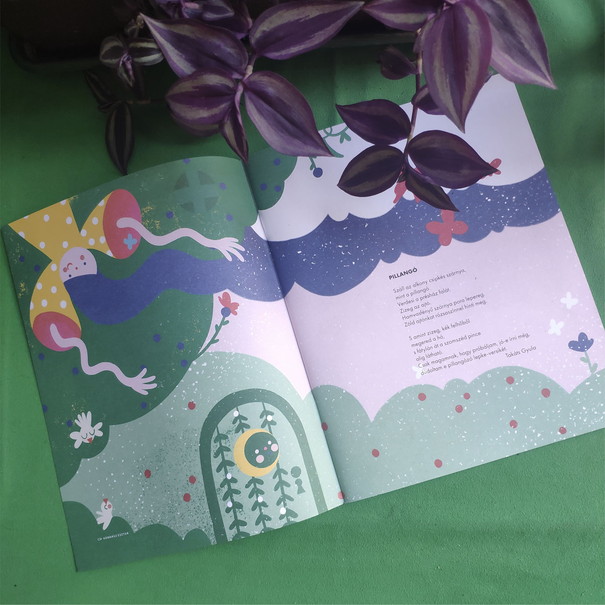 Double spread illustration